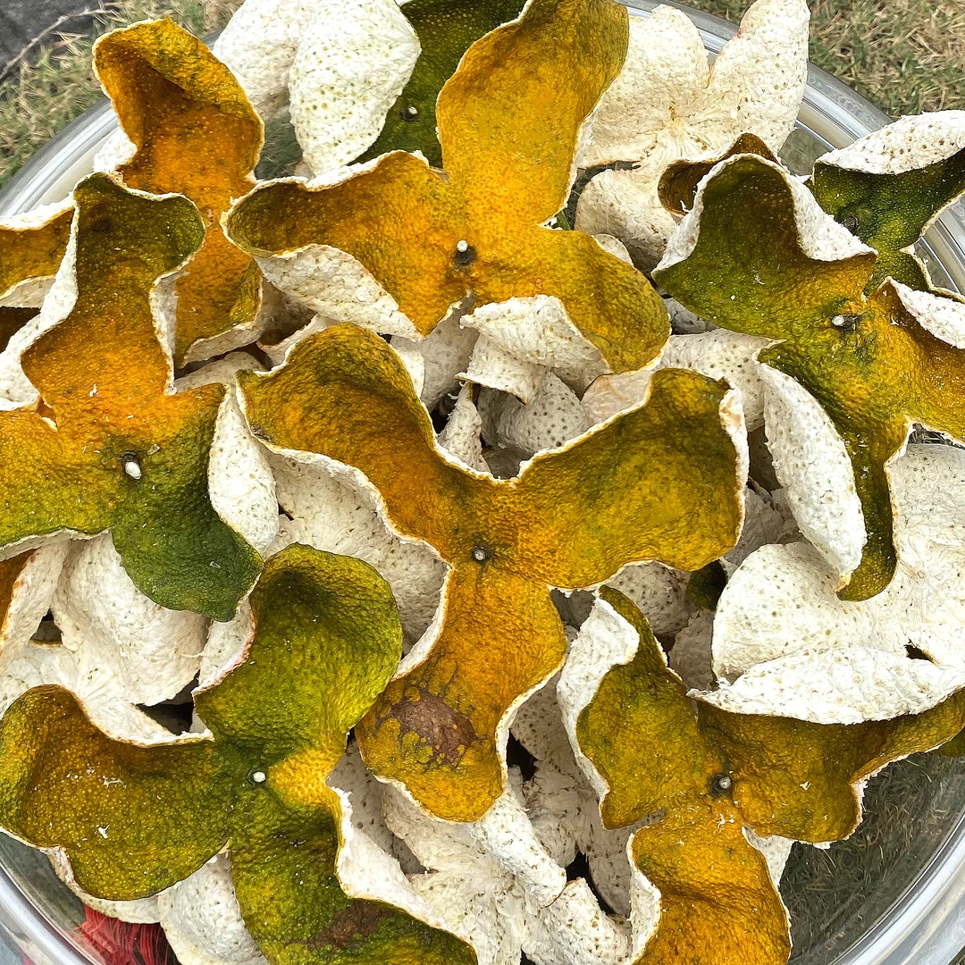 188号2024年东甲圈枝龙眼围冬青皮断皮口粮250g