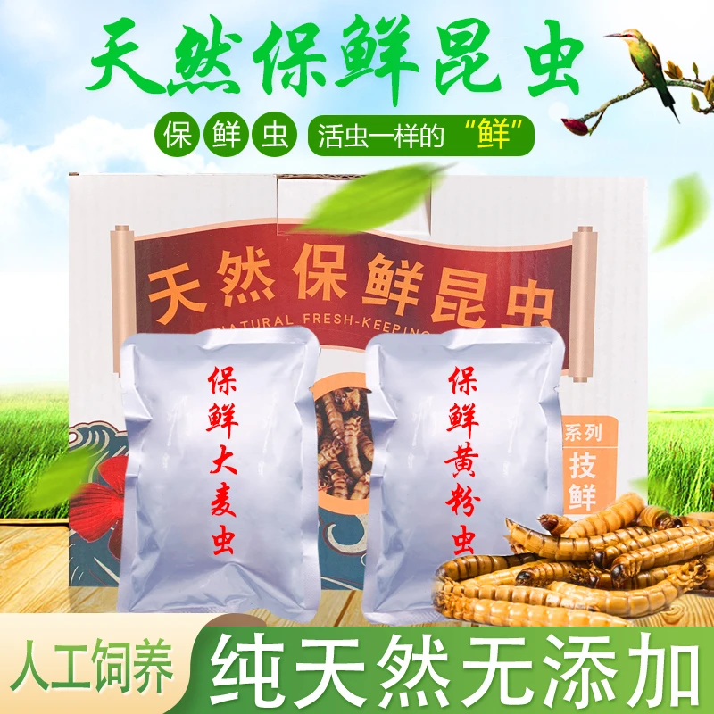 新鲜保鲜面包虫干大麦虫子黄粉虫龙鱼仓鼠半水龟肉食爬虫通用饲料