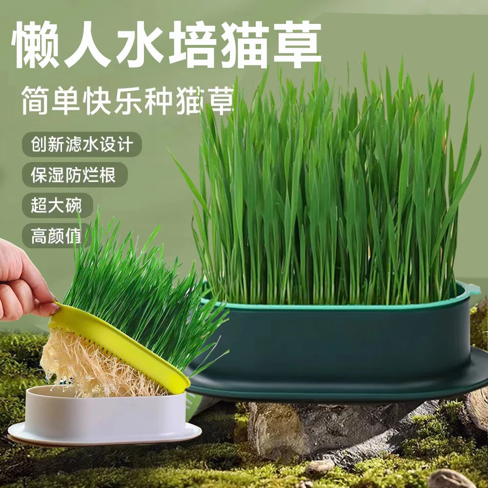 猫草懒人无土水培猫咪草化毛排毛神器吐毛草盆栽猫草种子培育盒盆
