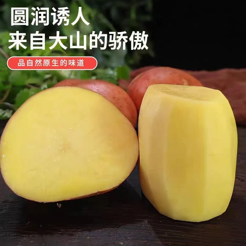 土豆新鲜云南红皮黄心土豆现挖现发农家自种绿色蔬菜土豆马铃薯
