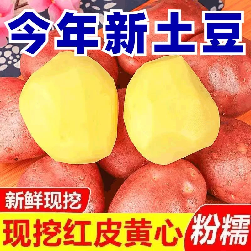 净重新鲜现挖土豆红皮黄心粉面香马铃薯洋芋当季土豆下单立减