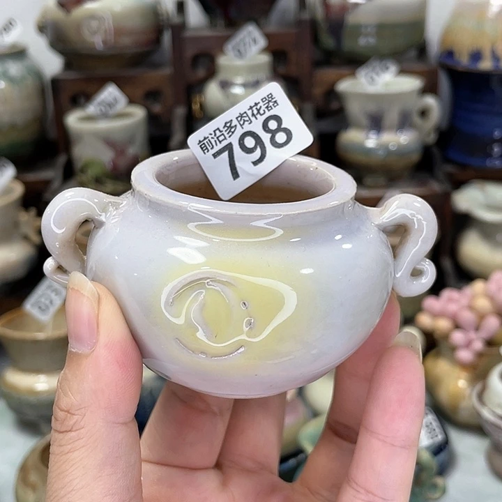 红陶20CM（含）-50CM（不含）口4.5