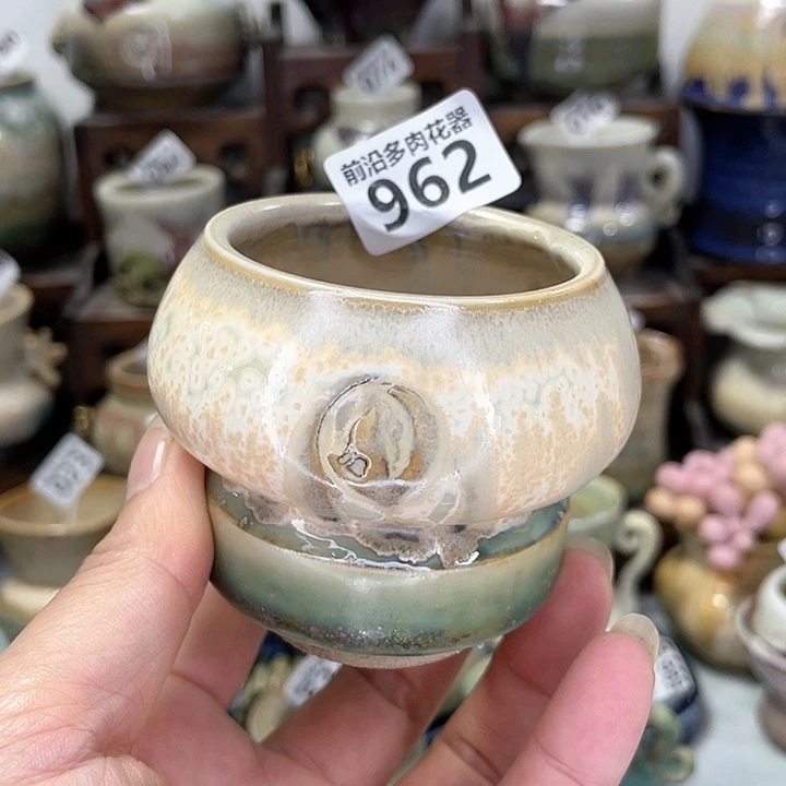 红陶20CM（含）-50CM（不含）口5
