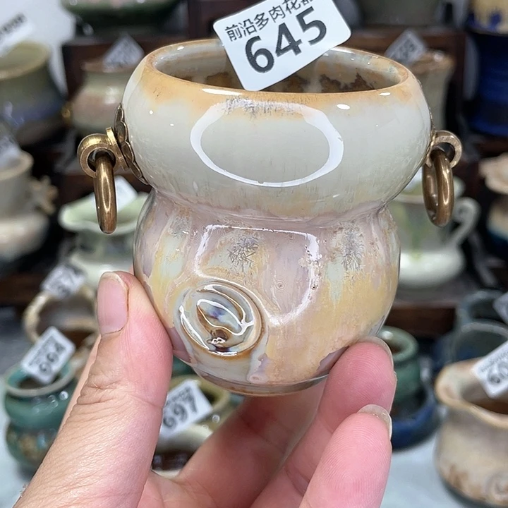 红陶20CM以下口6