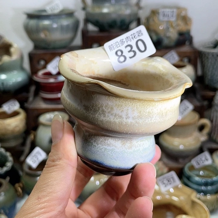 红陶20CM以下口6微瑕