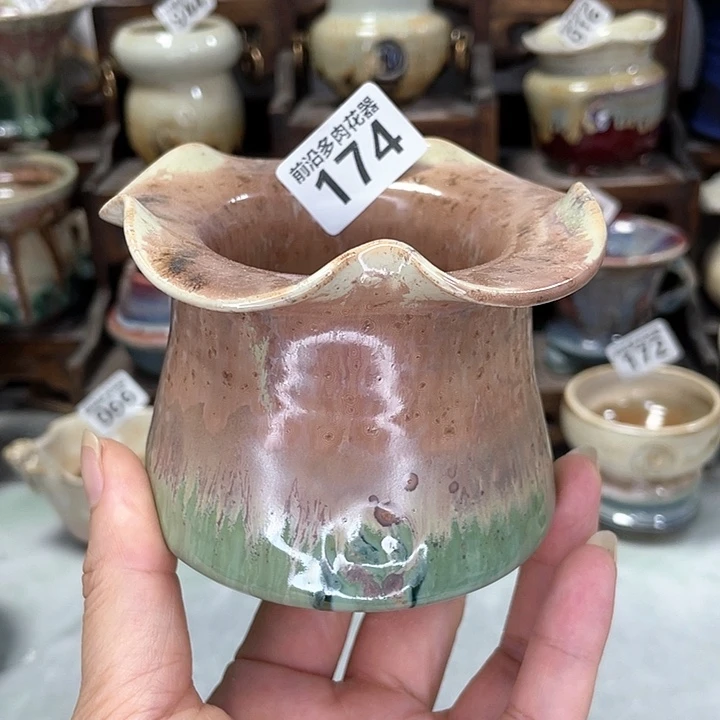 红陶20CM（含）-50CM（不含）口6