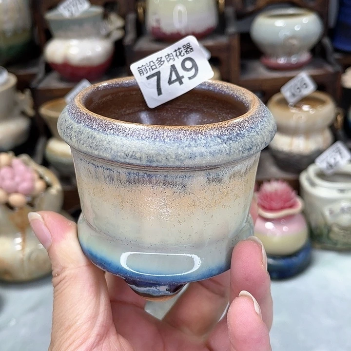 红陶20CM（含）-50CM（不含）口6