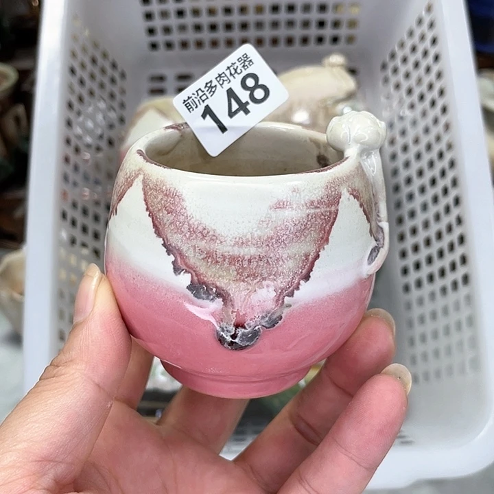 红陶20CM（含）-50CM（不含）口5