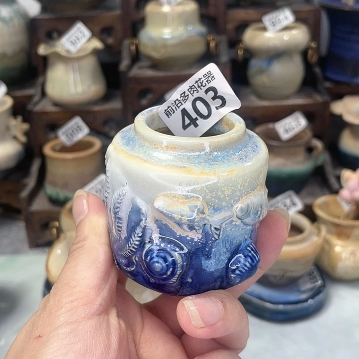 红陶20CM（含）-50CM（不含）口4