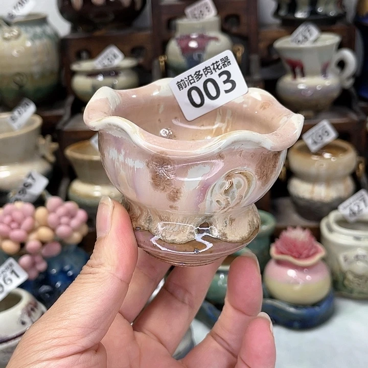 红陶20CM（含）-50CM（不含）口6