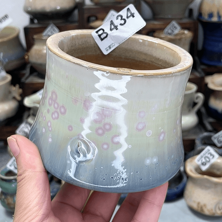 红陶20CM（含）-50CM（不含）口8微瑕