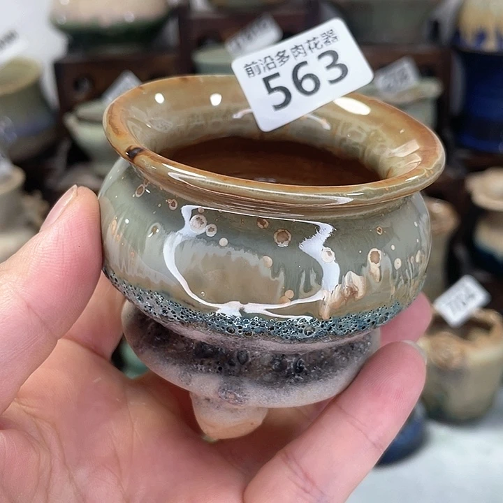红陶20CM（含）-50CM（不含）口6