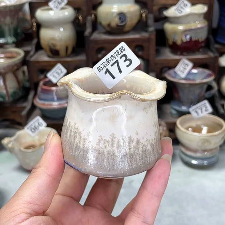 红陶20CM(含)-50CM(不含)口5