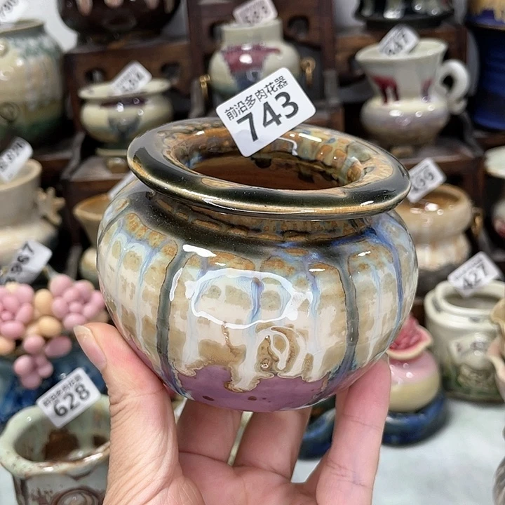红陶20CM（含）-50CM（不含）口6