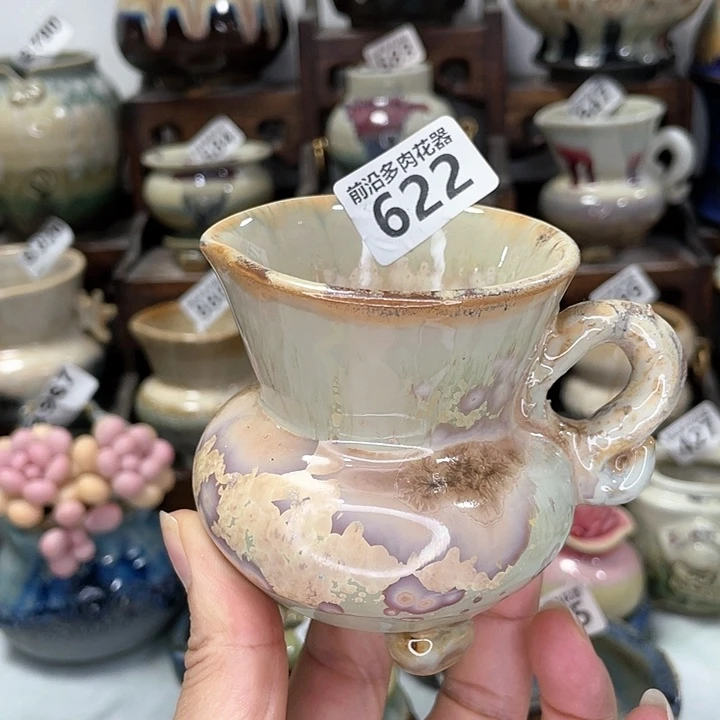 红陶20CM（含）-50CM（不含）口6