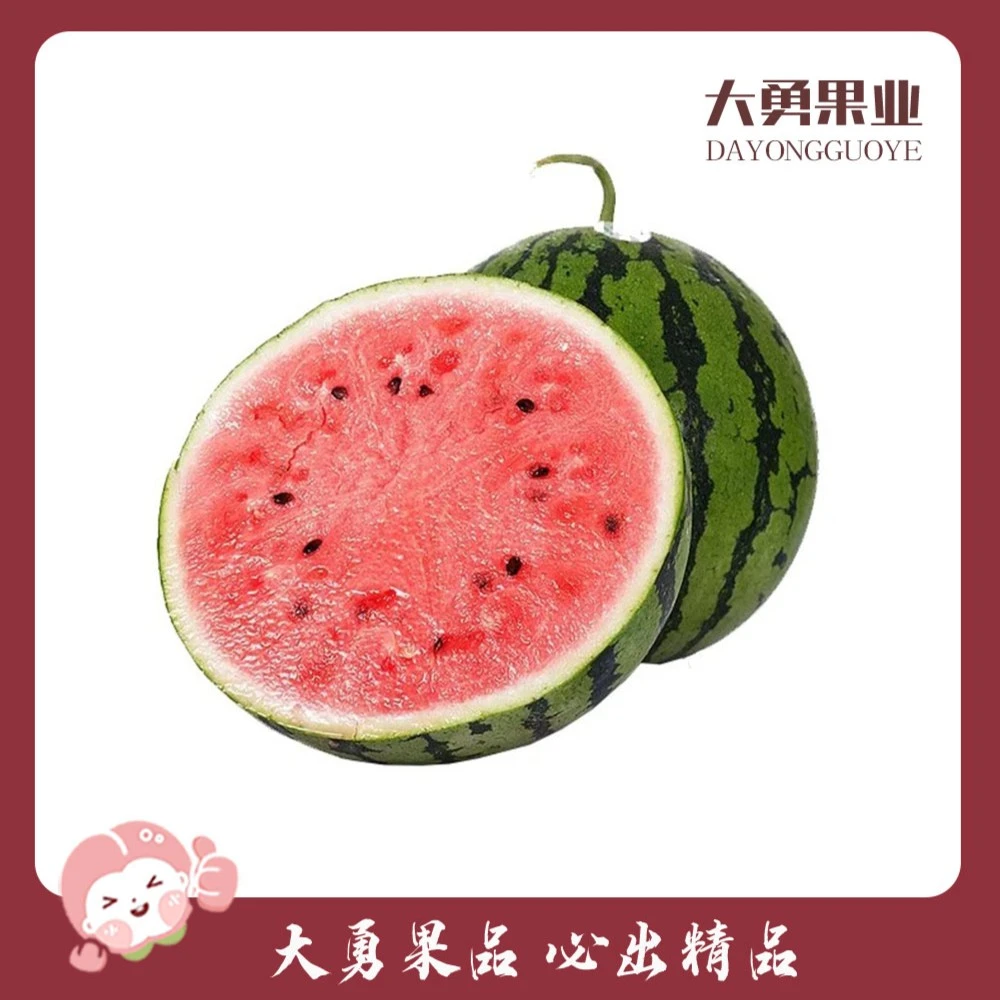 【果切】麒麟西瓜  去皮前约2-3斤 （甜润多汁~）