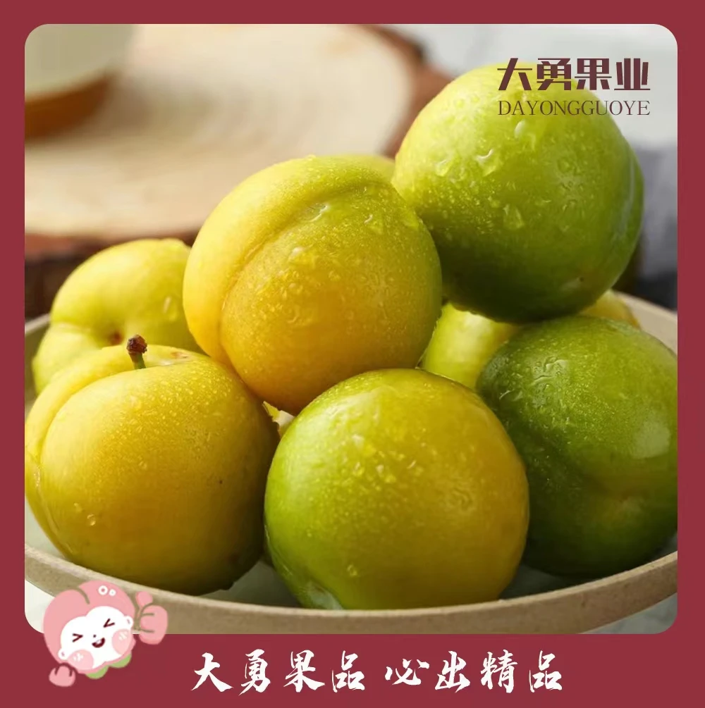 蜂糖李  约500g