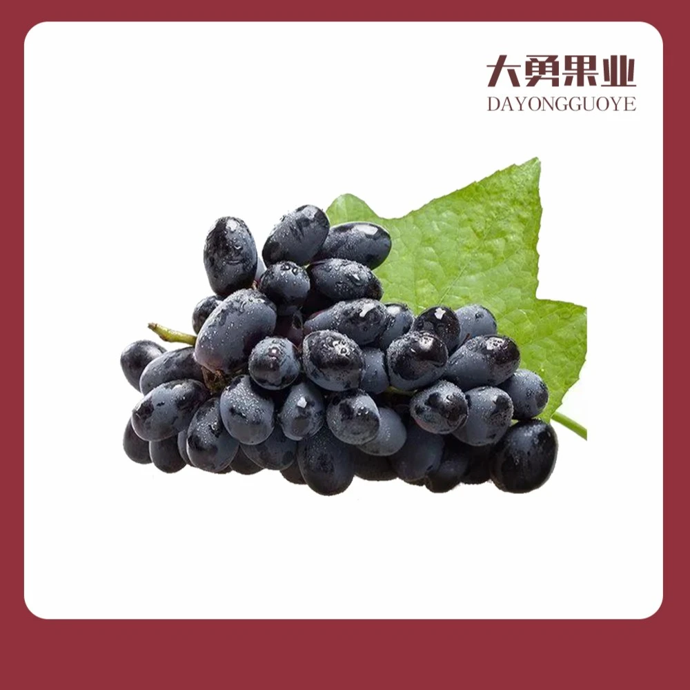 无籽黑提 约500g (纯甜汁水足)