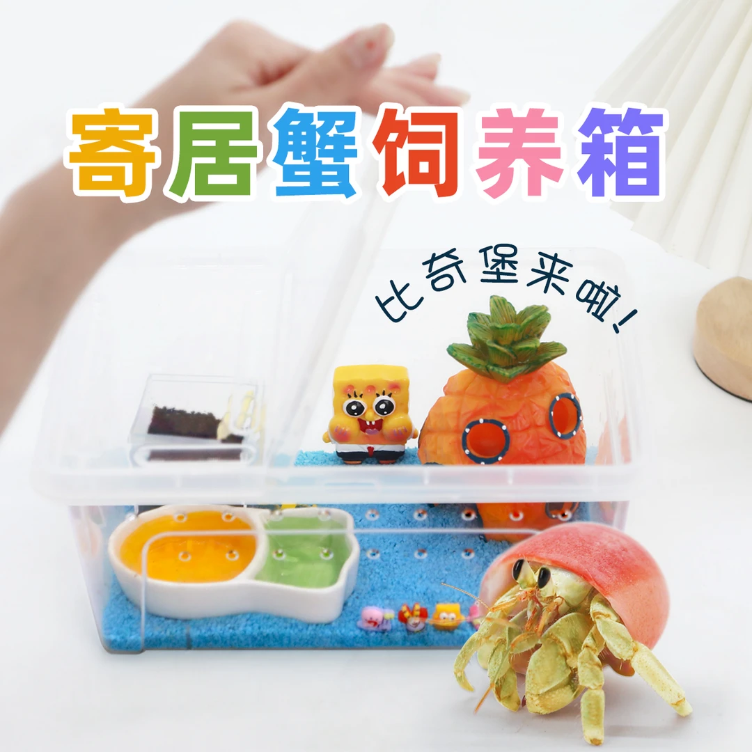 寄居蟹新手套餐饲养箱盒～饲养用品 相守蟹套装桌面宠物儿童礼物