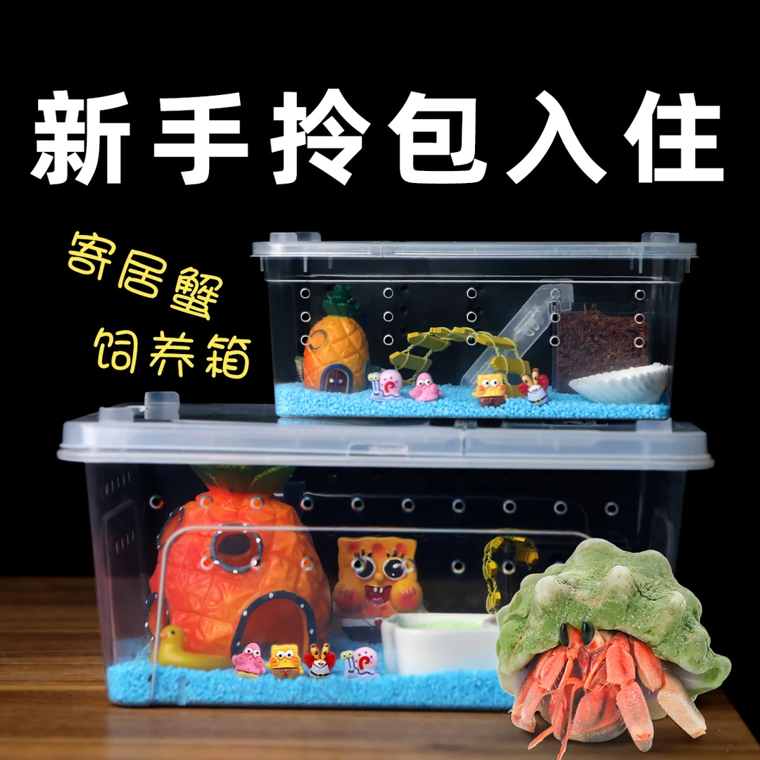 寄居蟹新手套餐饲养箱盒～饲养用品 相守蟹套装桌面宠物儿童礼物