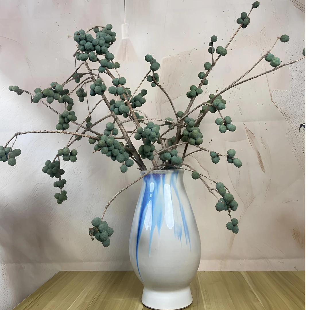 【雨彤果】高端小众稀缺花材