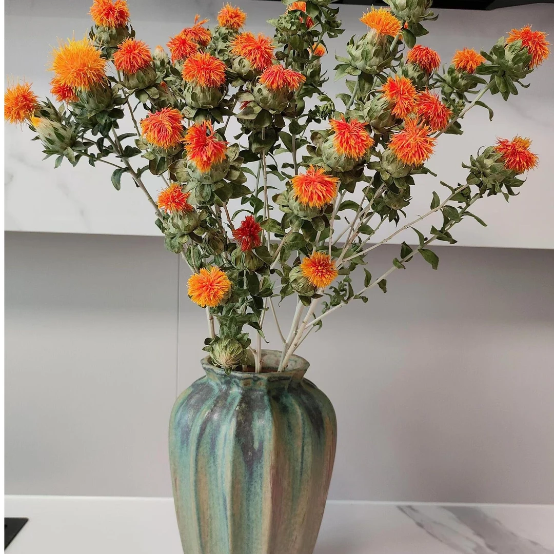 【橙菠萝】高端居家氛围感稀缺花材能做干花鲜花