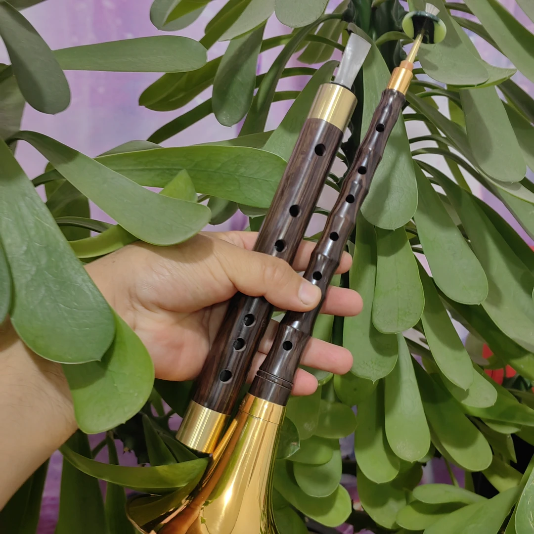 G调管子/D唢呐套装，各带两个哨片，一个哨盒，教学，保养油等