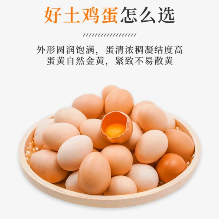【大小姐专属补贴】包邮鲜美初产新鲜土鸡蛋散养土鸡蛋营养爽滑好吃