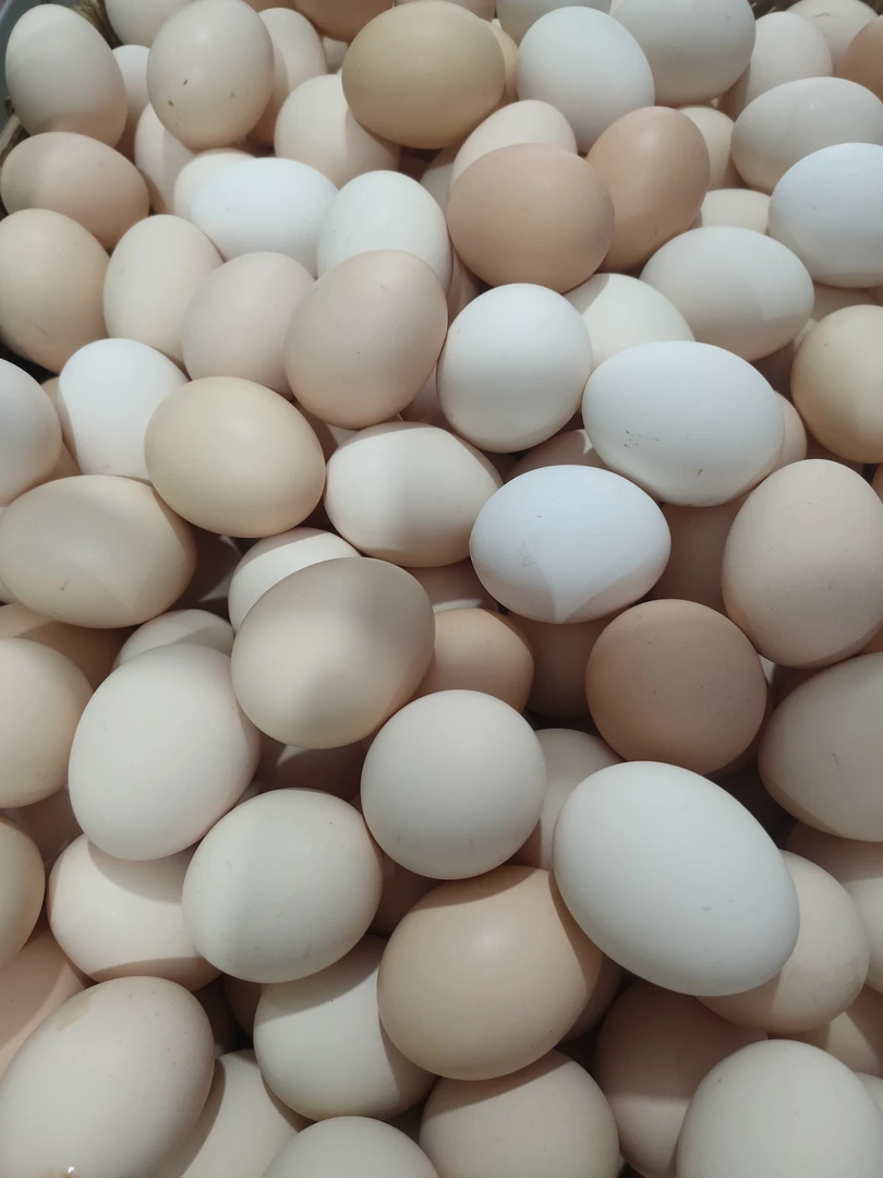 江西正宗土鸡蛋新鲜营养包邮