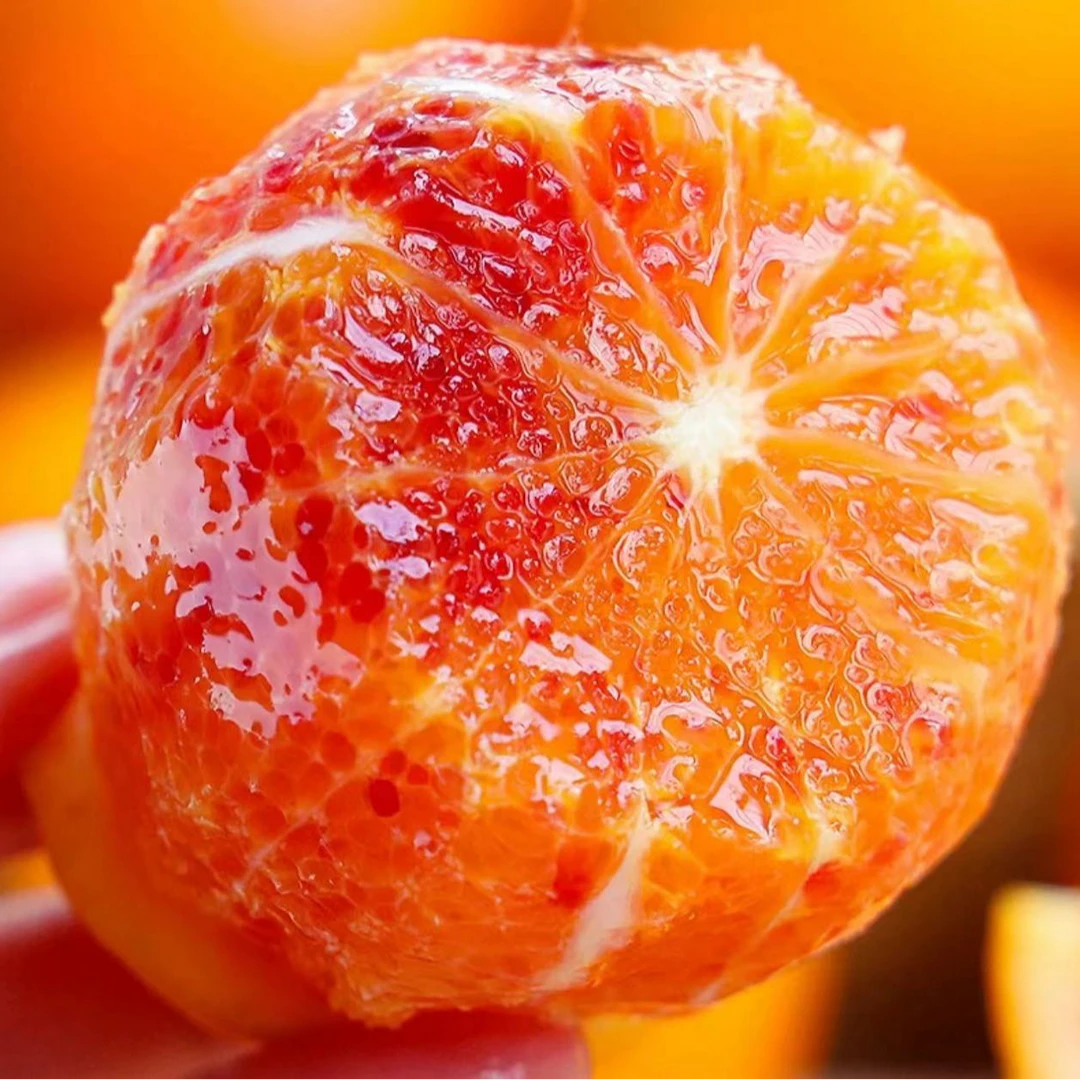 《农人老三》玫瑰血橙新鲜水果 6斤 顺丰包邮