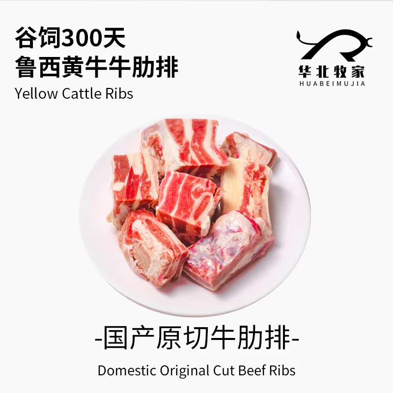 华北牧家｜原切精修新鲜牛肋排 2KG｜国产鲁西黄牛谷饲300天