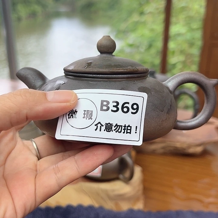 戬谷龙窑坭兴陶柴烧茶壶369