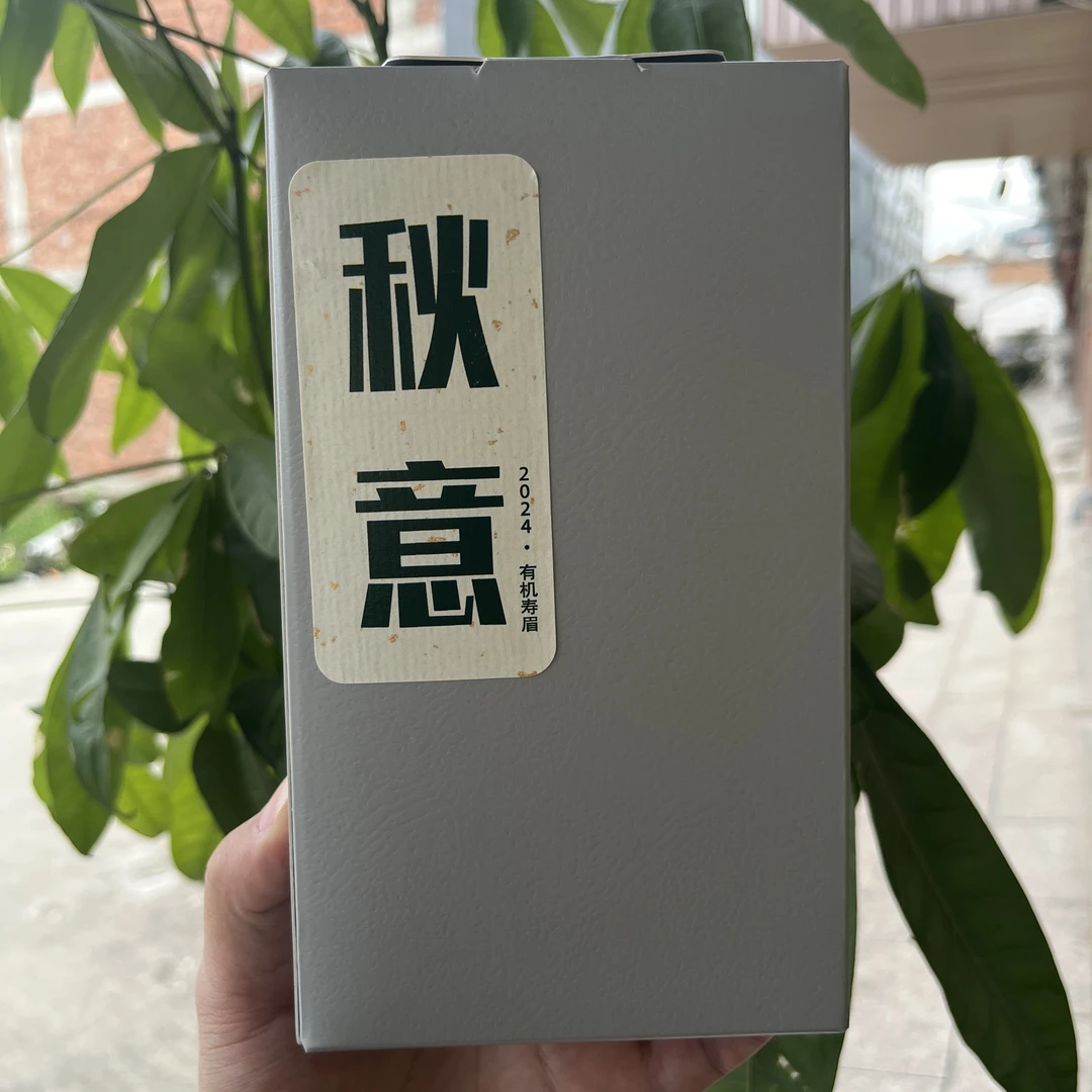 秋意 2024年 福鼎白茶 高山有机寿眉 散茶盒装 拍一发二 拍二发五