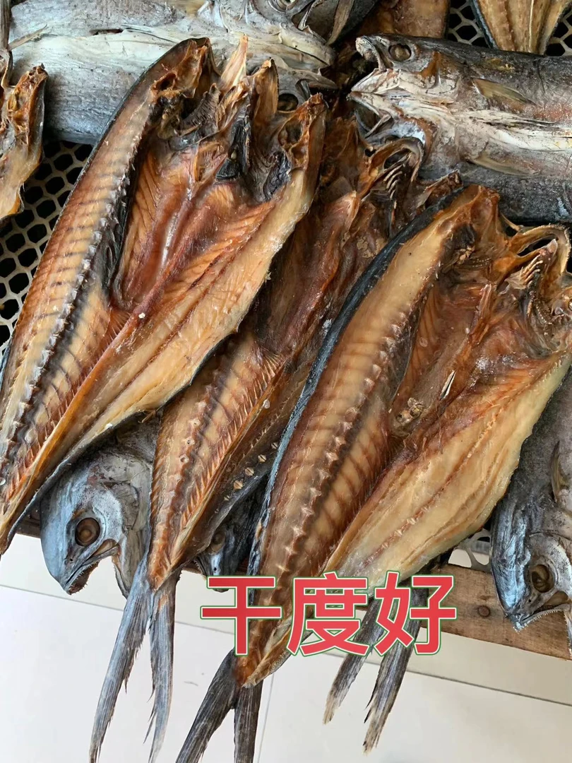 寿光发货 鲅鱼干（干度好）冷冻保存 煎炸蒸炖都可以  3斤装