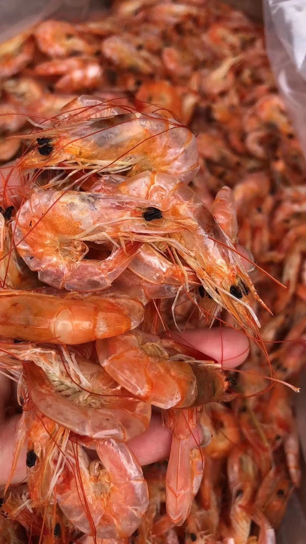 山东盐田烤虾干  即食好吃  越嚼越香  冷冻保存  追剧必备小零食