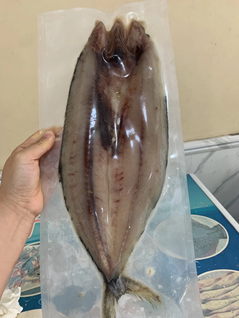 寿光发货  咸鲅鱼坯子（半干）  冷冻保存  煎 炸 蒸 炖 都可