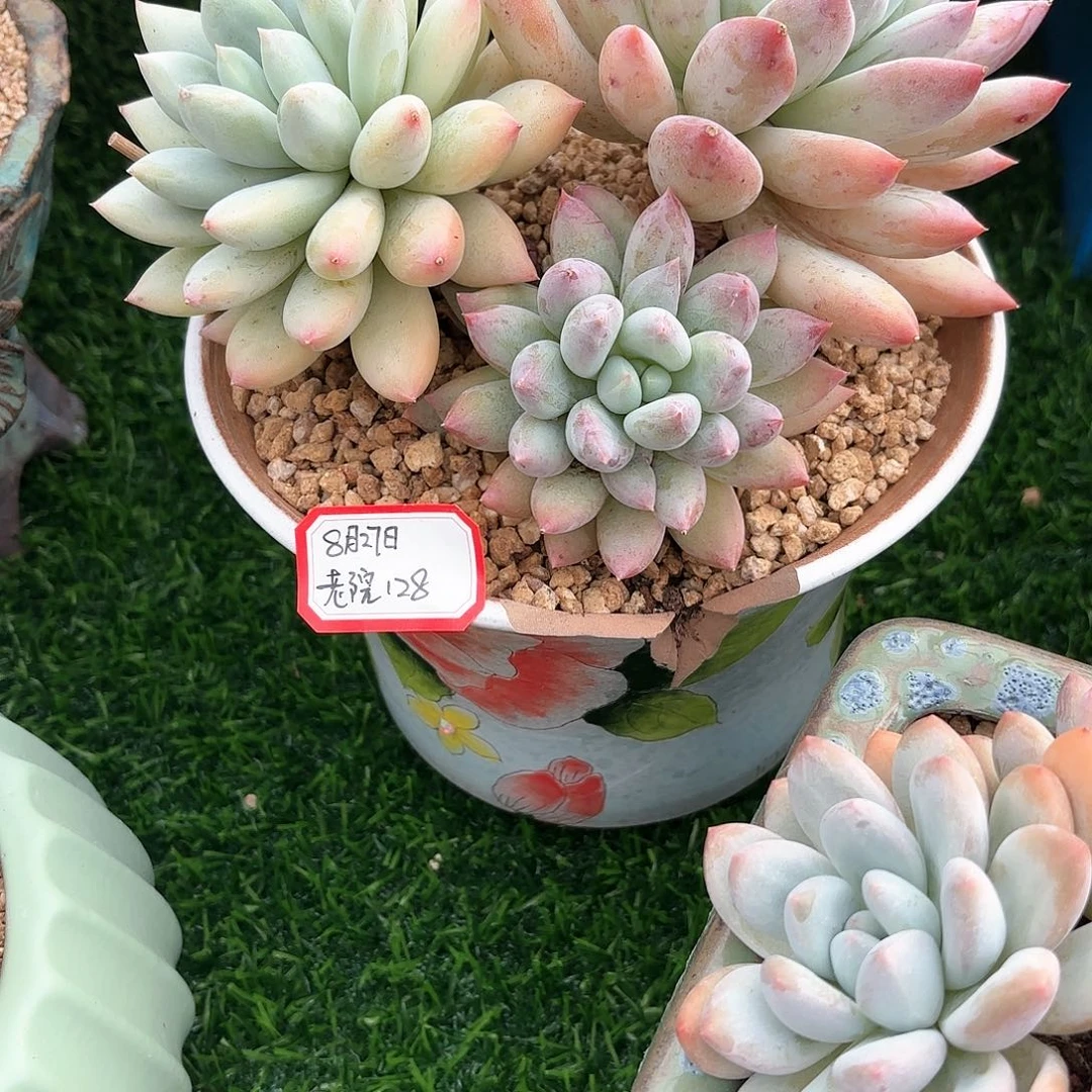 玉***院我们要好好学习