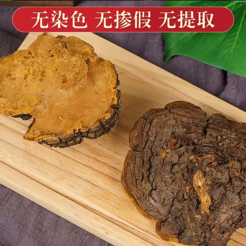 小季 正品高山 【金边桑黄】[可自行搭配枸杞食用]