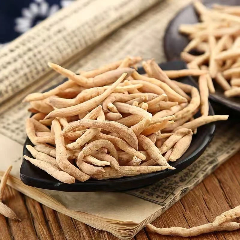 小季 现收 精品 太子参