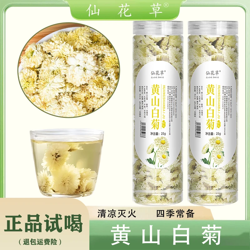 白菊花 黄山菊花早贡菊七月菊花茶可搭配枸杞25g干净罐装饱满