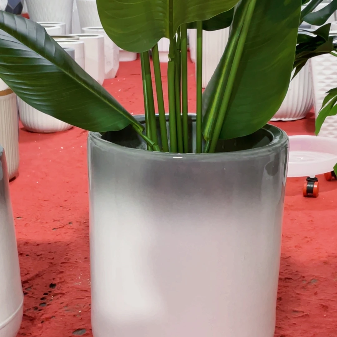 红陶20CM（含）-50CM（不含）