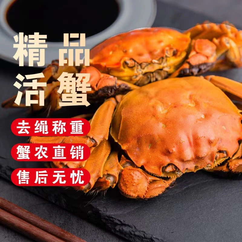 双11爆款【活蟹】蟹爽爽全母蟹1.8-2.1两8只可挑质量好的