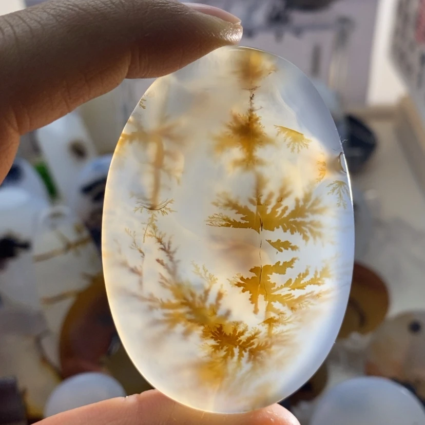 【闪购商品】玛瑙/玉髓颈饰未镶嵌