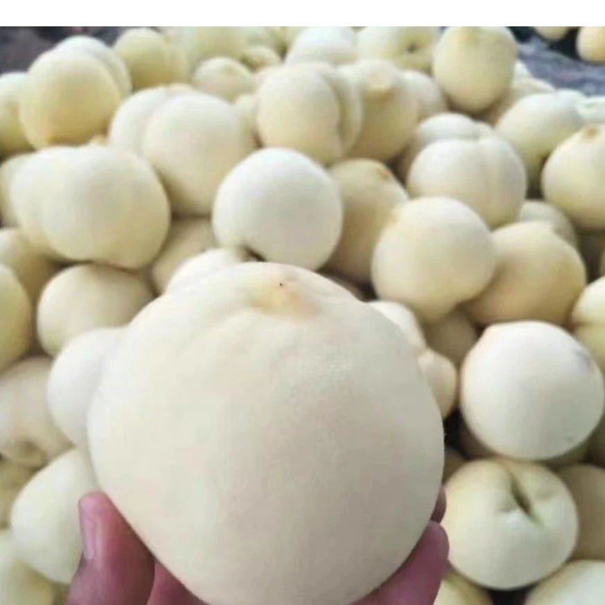 麻阳高山冬桃九斤装包邮