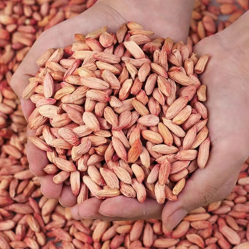 当季山东特产瘪花生米新鲜生秕散装小粒甘甜2025年手工选批发农家