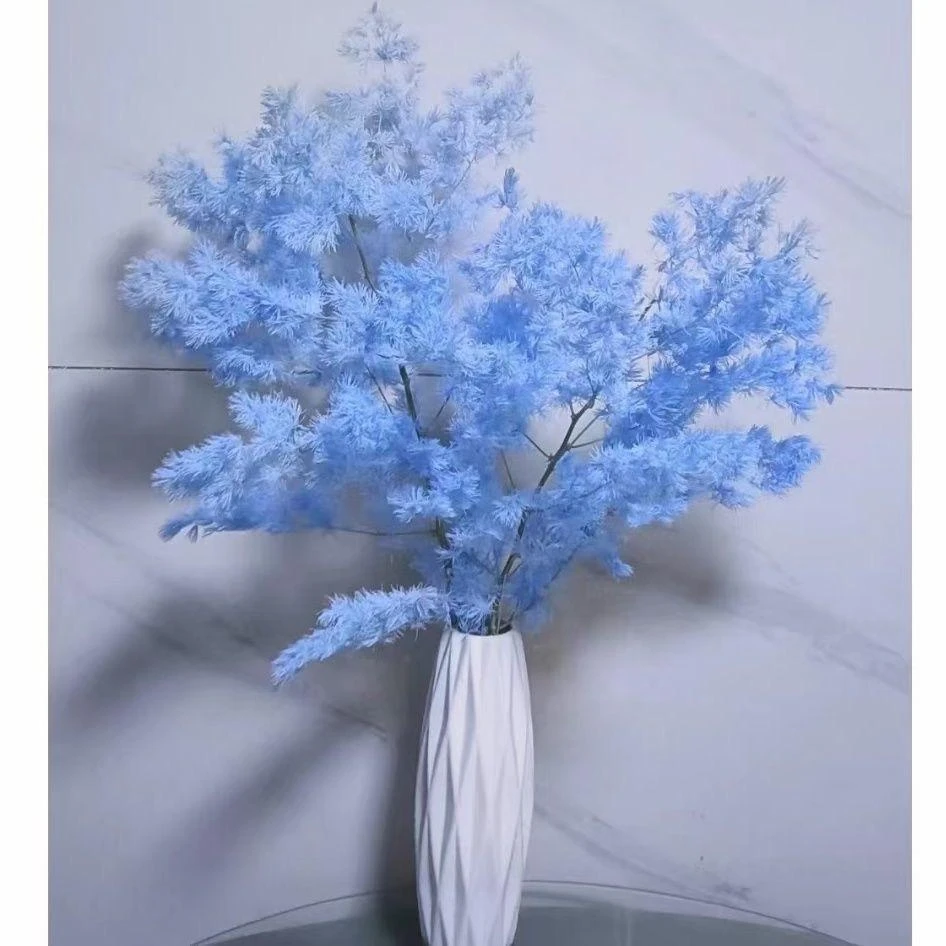 永生花蓬莱松新鲜干花花艺家居婚庆使用精选真花自然风干烘干装饰