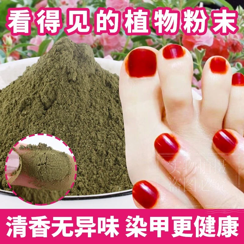 美丽红色凤仙花指甲花指甲粉花瓣磨粉小桃红指甲草花女儿花金凤