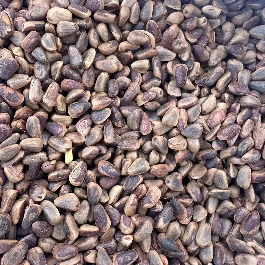 【胖墩墩推荐】长白山 松子