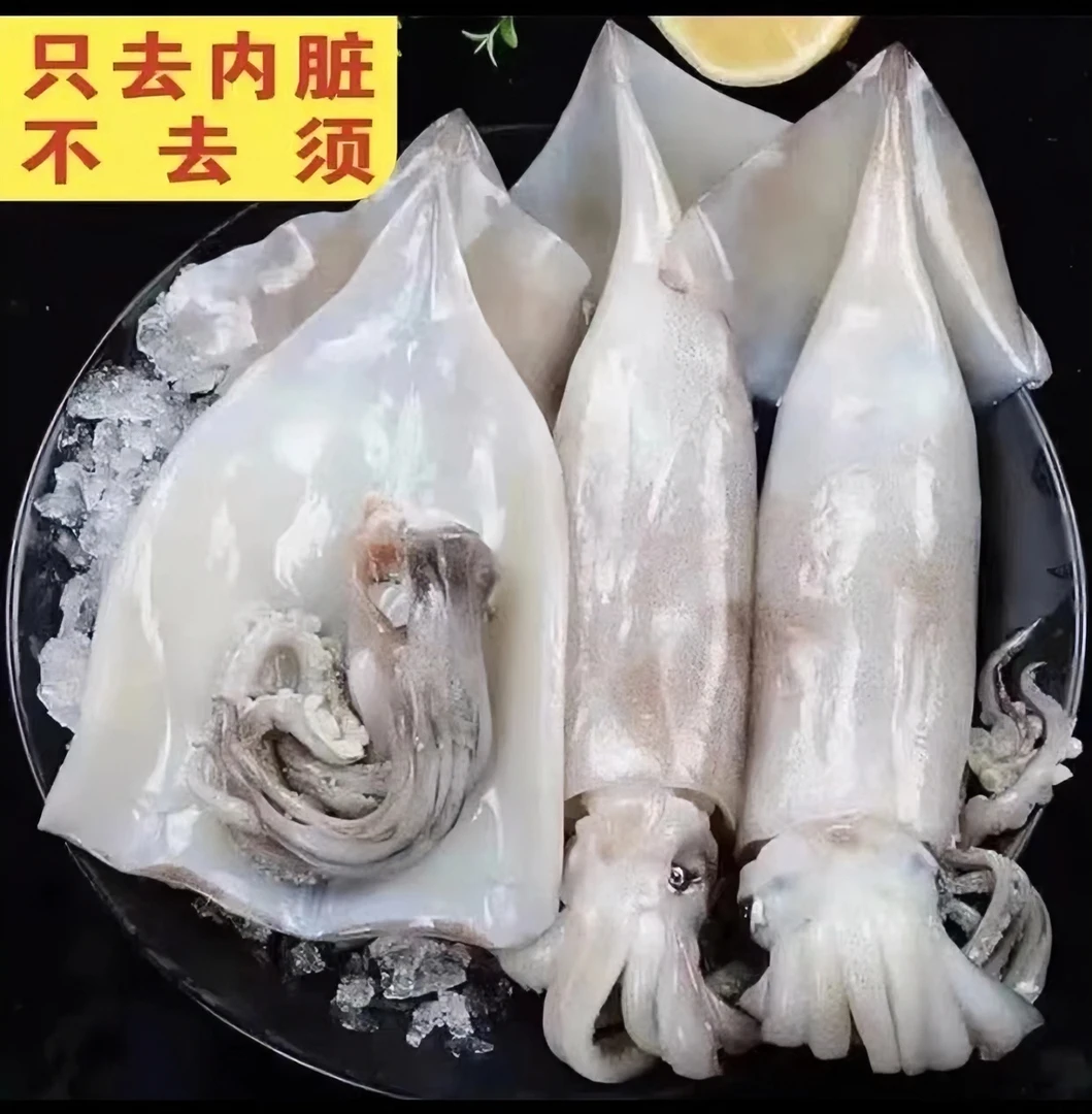连云港 去皮去内脏清理干净大鱿鱼 8斤 （送两包料包）