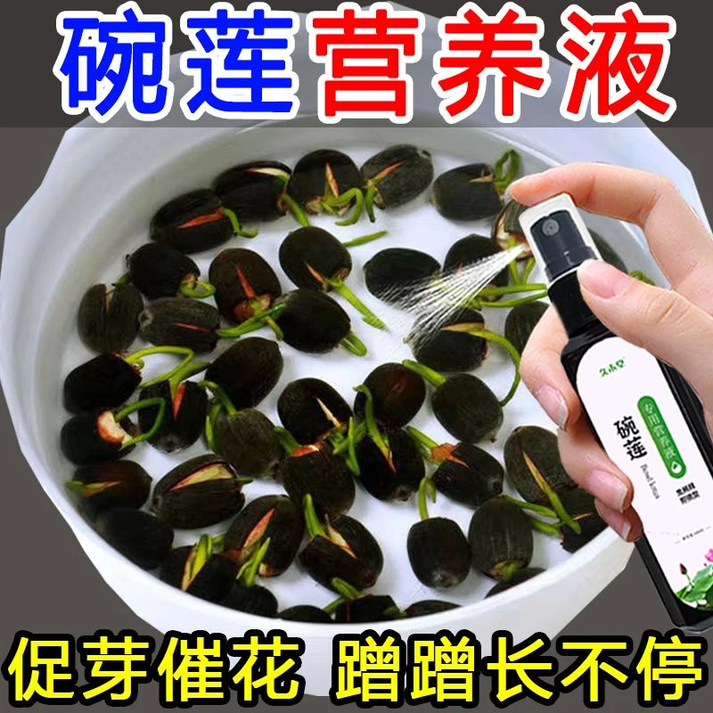 睡莲碗莲营养液通用水溶肥水培种子发芽生根促开花防黄叶专用肥料